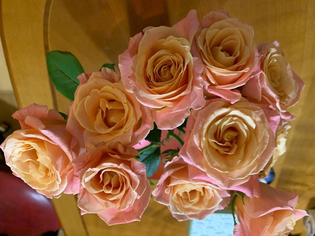 354B4B0F-1958-41FF-87B6-9C9AED0EFBD4.jpeg