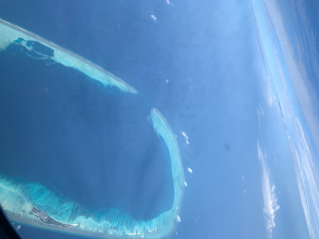 6D3DD259-542F-4AA4-B3EB-828DED1A2634.jpeg