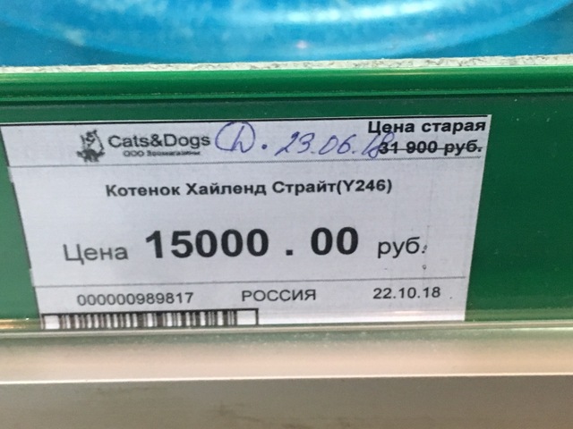 B185B5EA-7D68-4353-9726-490B0BAE871F.jpeg