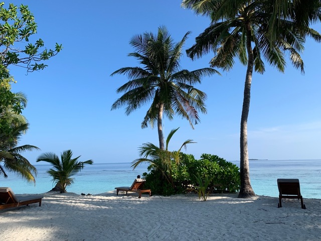 E905665F-0435-4EAC-8063-C07FCB429D46.jpeg