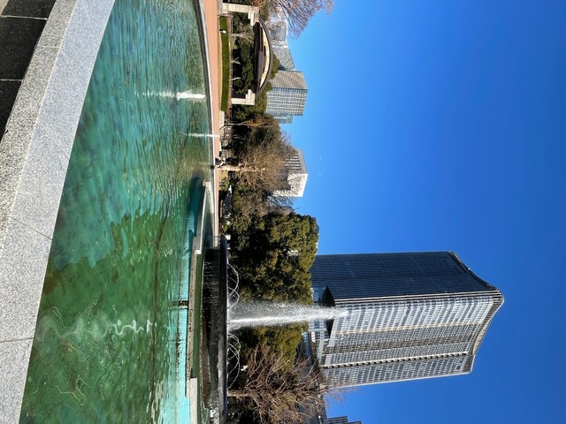 IMG_1171.jpeg