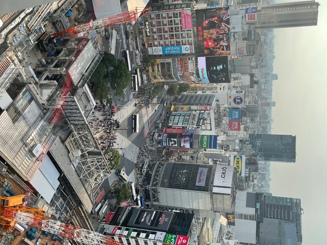 IMG_5971.jpeg